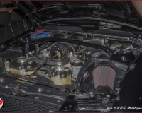 TSR Watermark - 0552